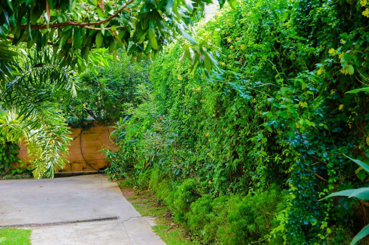 Homestay Garden Rest Kandy Eksteriør billede