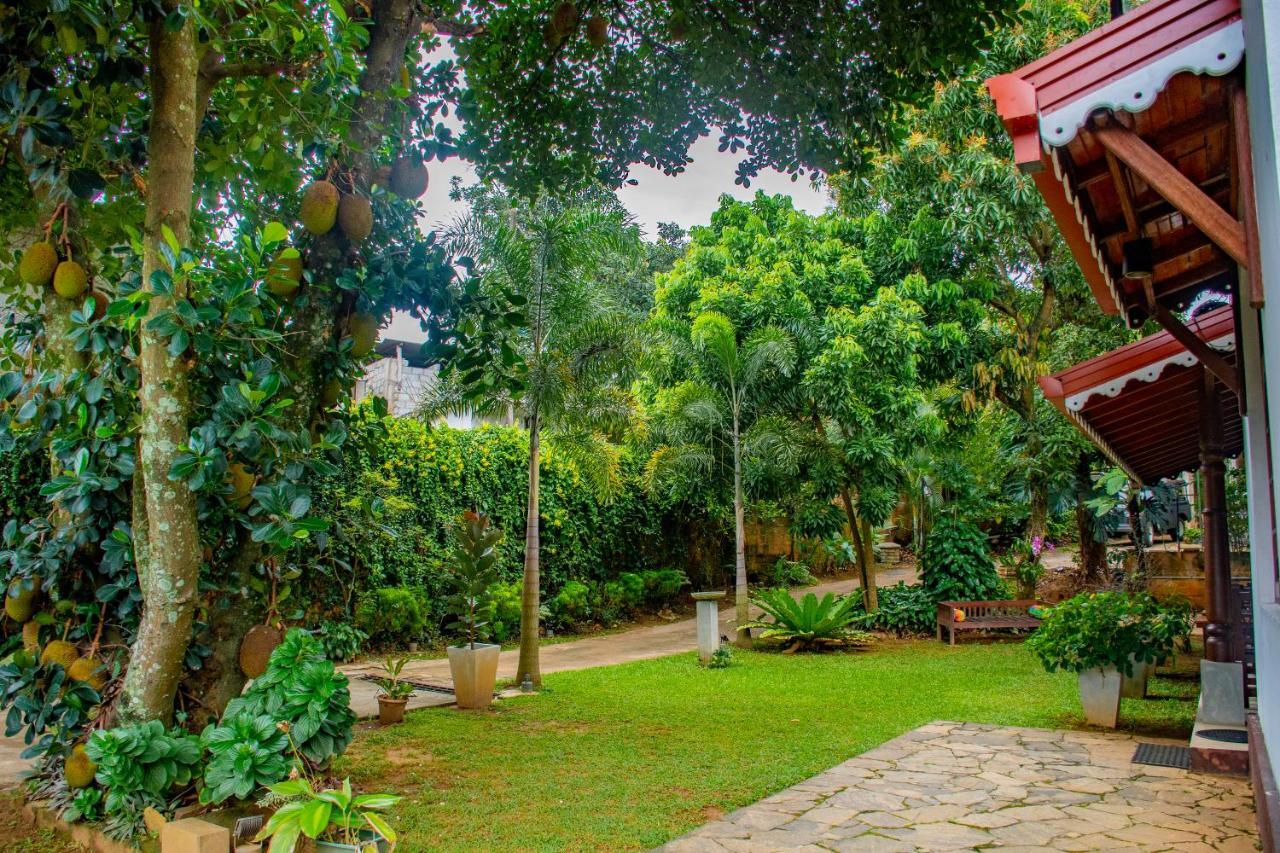 Homestay Garden Rest Kandy Eksteriør billede